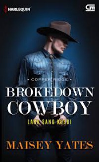 Brokedown Cowboy